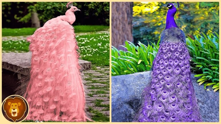 Beliebte Marken f&uuml;r nat&uuml;rliche Haarfarben